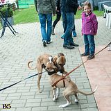 115_bin_von_dir_gefesselt