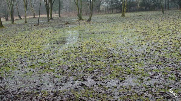 DSC05175 Wasser, Wasser, Wasser