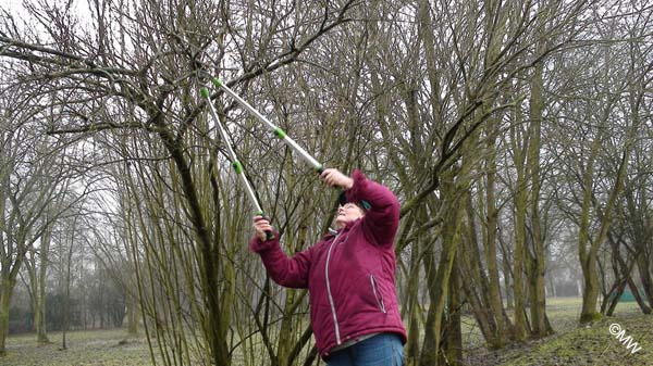 DSC05179 Und noch ein Ast