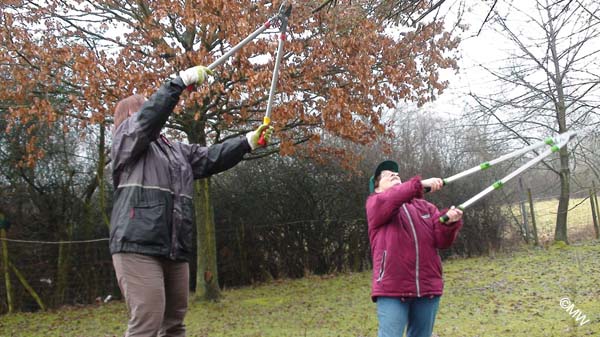 DSC05181 Zu viel ist zu viel