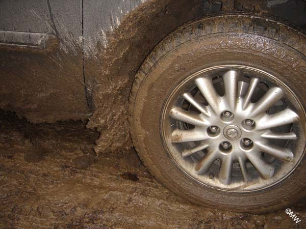 DSC05241 Voller Einsatz